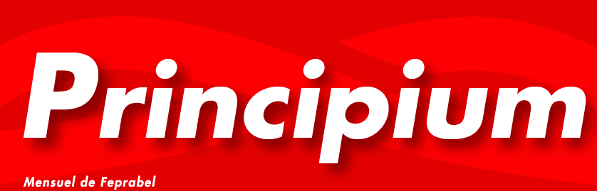 Consolidation – Article de presse / Cover